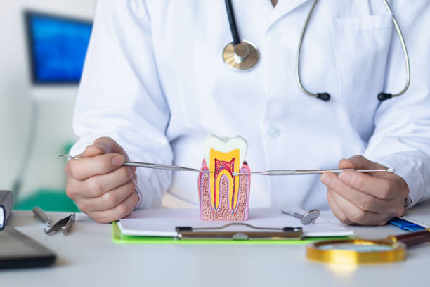 Best Pediatric Emergency Dentist in Butler, NJ